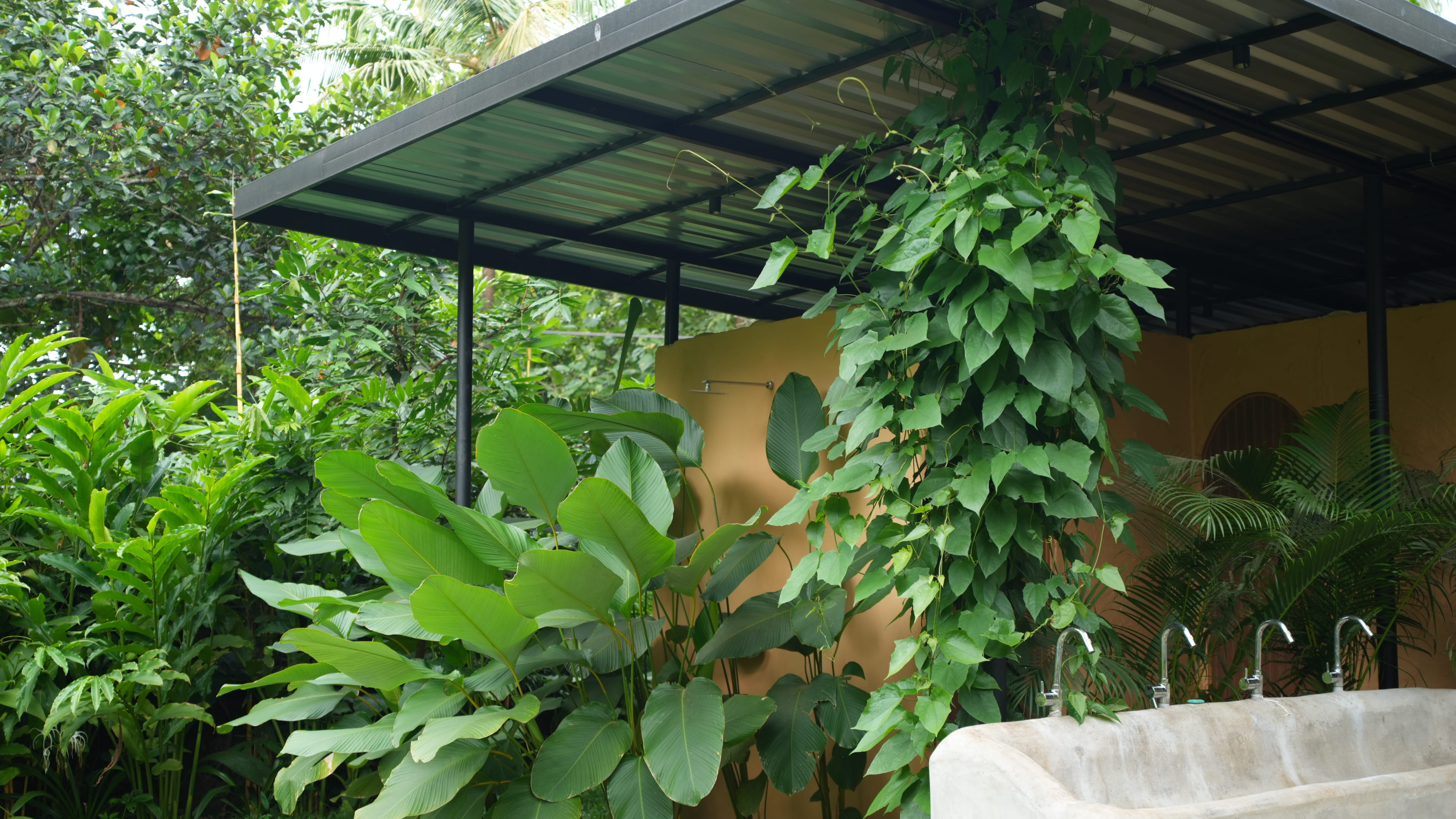 Outdoor wash area